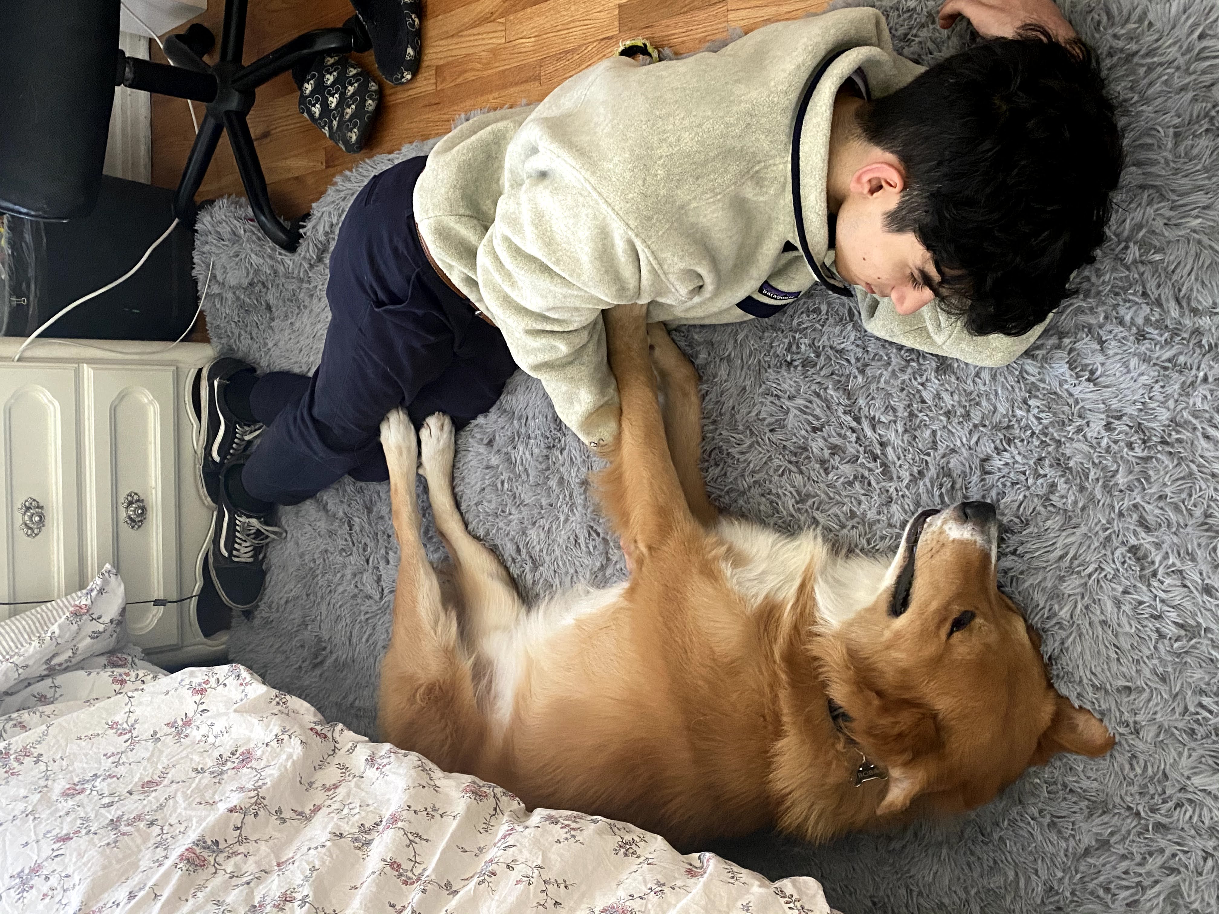 Boba and Zoran laying down on the carpet having a deep conversation